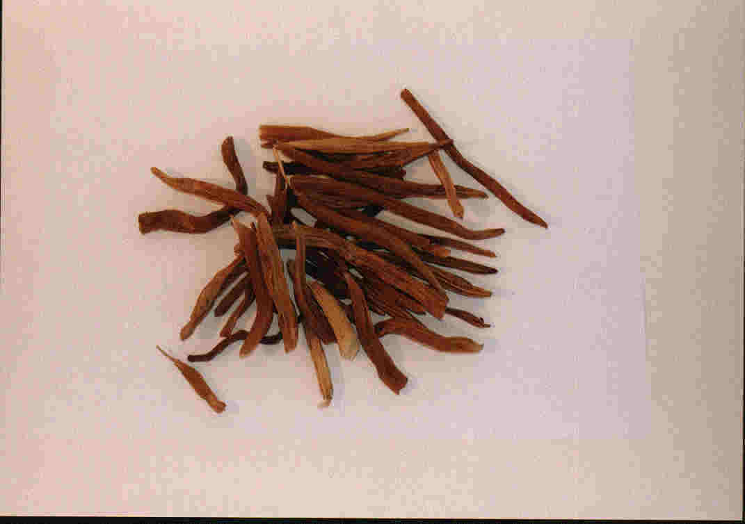 asparagus.jpg (17931 Byte)