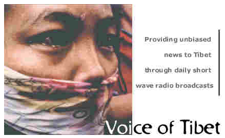 voiceoftibet.jpg (8534 Byte)